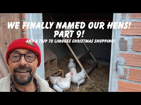 PART 9 We Chose The Names Chicken Coop Build And Christmas Shopping In Limoges 