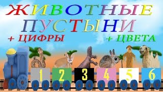 Животные пустыни, изучение цвета, изучение цифр. Развивающие мультики Животные пустыни, изучение цвета, изучение цифр. Развивающие мультики