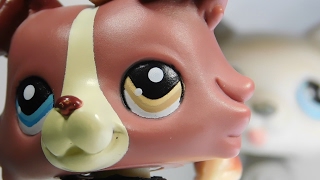 \Lovely/ (Camera Test!!!)