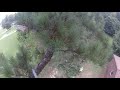 Tall Pine Tree Topping Near a House - Part 1