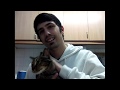 Vlog- OS MEUS GATOS como eu os amo