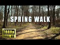 Relaxing spring walk through charming countryside and forest areas on a sunny afternoon