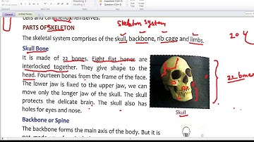 5th class | science | chapter-3 | skeleton and muscular system | part-2|