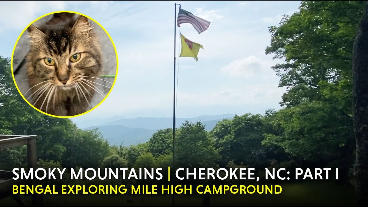 Mile High Campground | Smoky Mountains, NC | Part I