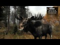 Big Game Hunter 2014 - Охота на лося #6