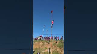 Así se sube a un palo encebado