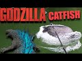 Godzilla catfish destroys my fishing 