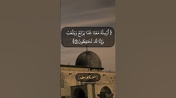سورة يوسف الآية ١١ الى ١٤ بصوت الشيخ محمد صديق المنشاوي