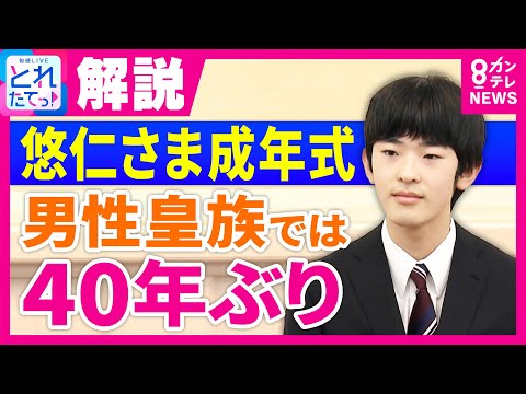 新時代の天皇ご一家 新時代の天皇ご一家 CD
