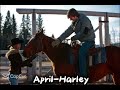 Comment what horse she got #Heartland #OnNetflix 