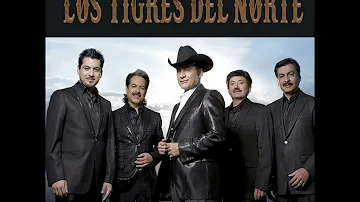 Los Tigres Del Norte • Jefe De Jefes (Audio)