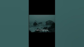 مَا وَدَّعَكَ رَبُّكَ وَمَا قَلَىٰ | محمد صديق المنشاوي | سورة الضحى