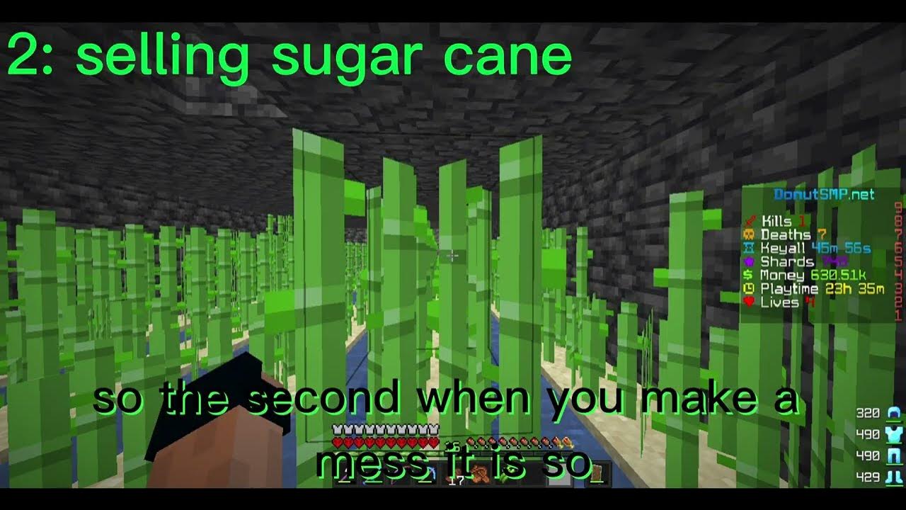 Top 5 money making methods in the donut smp youtube