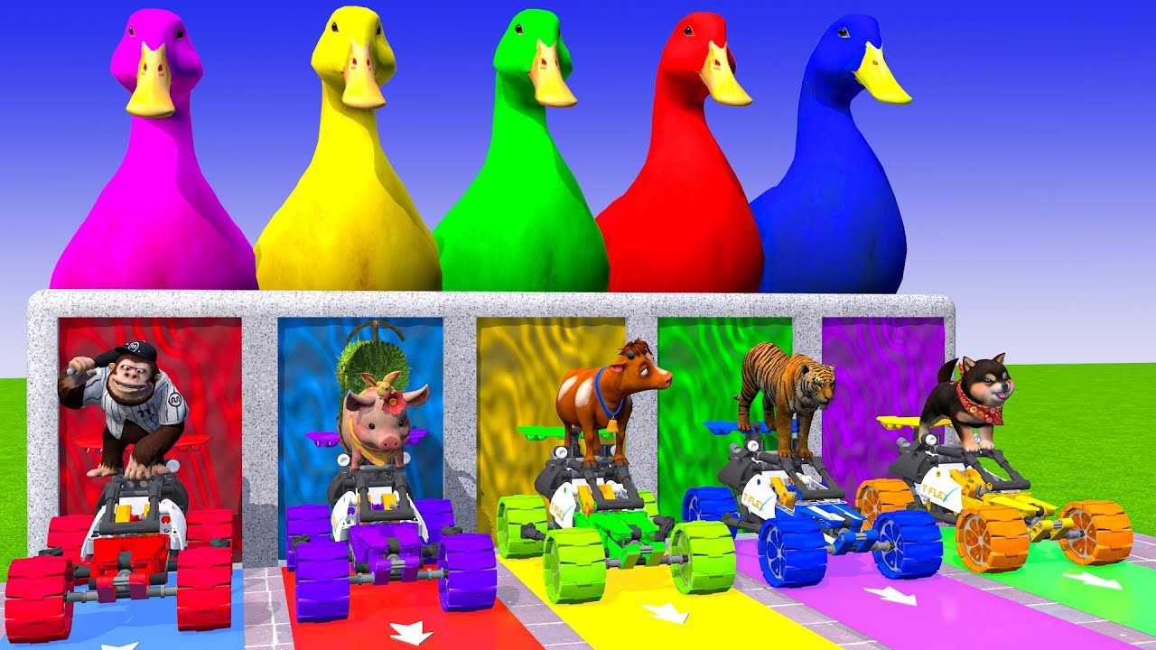 Long Slide Game With Cow Elephant Gorilla Hippopotamus Tiger - 3d Animal Game - Funny 3d Animals