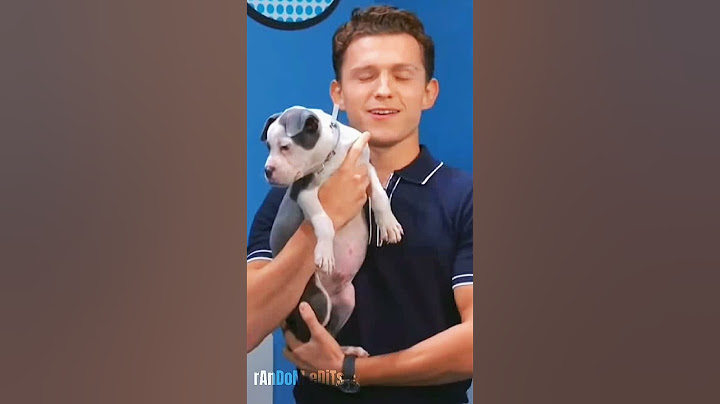 His face 😍 #tomholland #subscribe #shorts