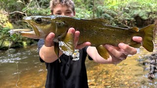 CRAZY TROUT FISHING TURNS TO DISASTER PART 2