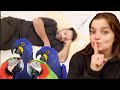 WAKING GEORGE UP WITH 4 MACAWS! | PARROT PRANKS!