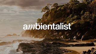 The Ambientalist - Meant To Be