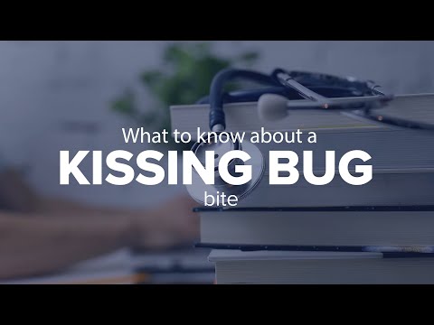 Video: Kissing Bug Bite: Identifiering, Behandlingar Och Förebyggande