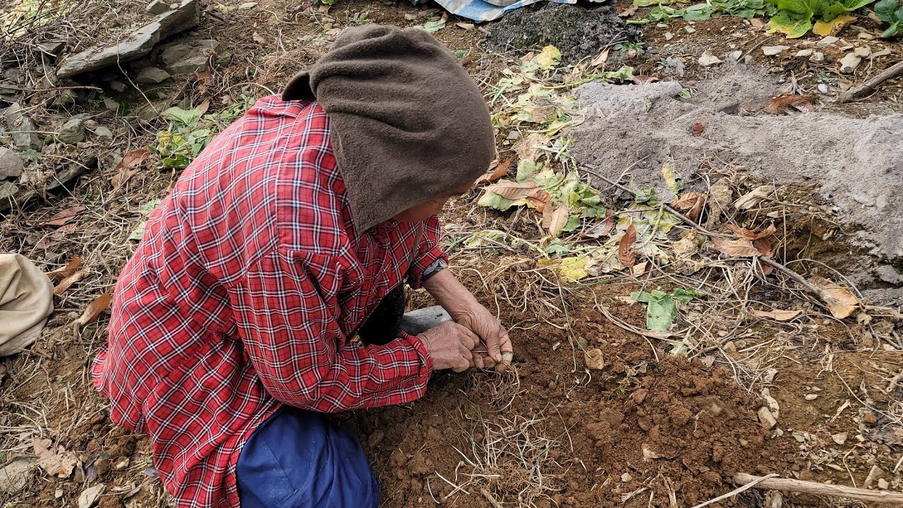 태백 여친과 오두막 할머니 산골집을 방문 뜨끈한 김치만둣국 밥한끼 나눔,