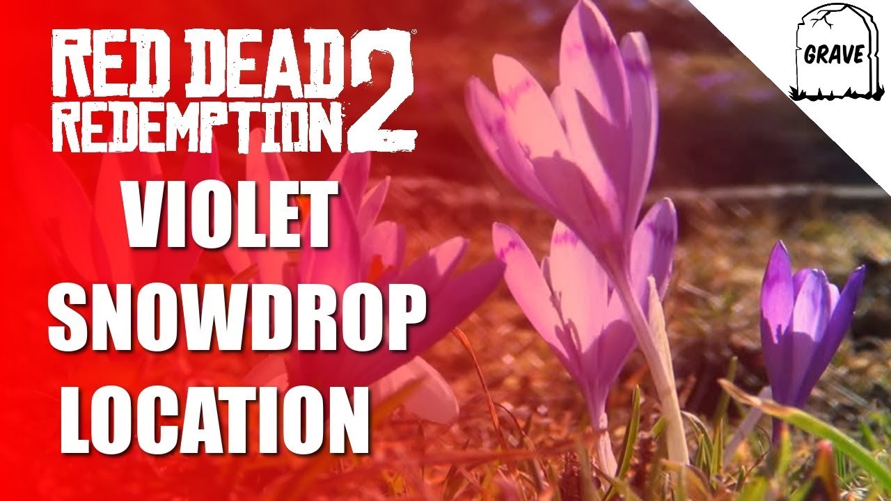 Violet Snowdrop Location Red Dead Online | Daily Challenge ...