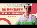 Kur’an’ın bilimsel mucizeleri; ders-38