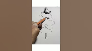 how to draw the drawing or sketch of a tree step by step for beginners #shorts #art #drawing