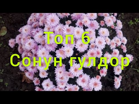 ТОП 6 Гулдор эшике остургону 0773456707