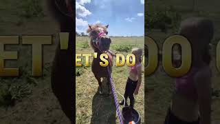 Bath Time For The Boys