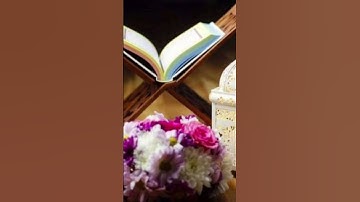 من أجمل ما قرأ القارئ أمين موسى. ج١١١