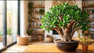 How to Make Your Jade Plant Grow Thick, Strong Stems