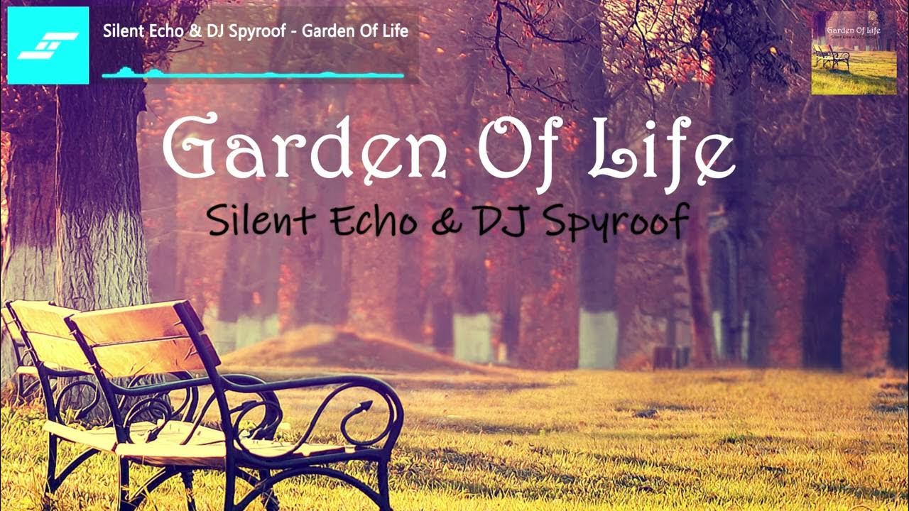 Silent echo dj spyroof garden of life youtube