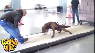 Combo Vine #1936
