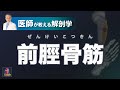 前脛骨筋とは？【医師による解剖学解説】
