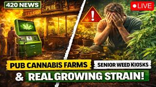 Pubs Turned Into Grow Ops | Study Links Cannabis & Depression | Grow Guides: The Cost of Growing