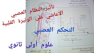 تأثير النظام العصبي الاعاشي على الوتيرة القلبية_التحكم العصبي/علوم أولى ثانوي