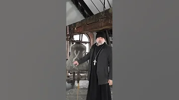 Зачем нужен колокольный звон #shorts