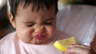 Videos de risa de bebes - Prueban limón por primera vez