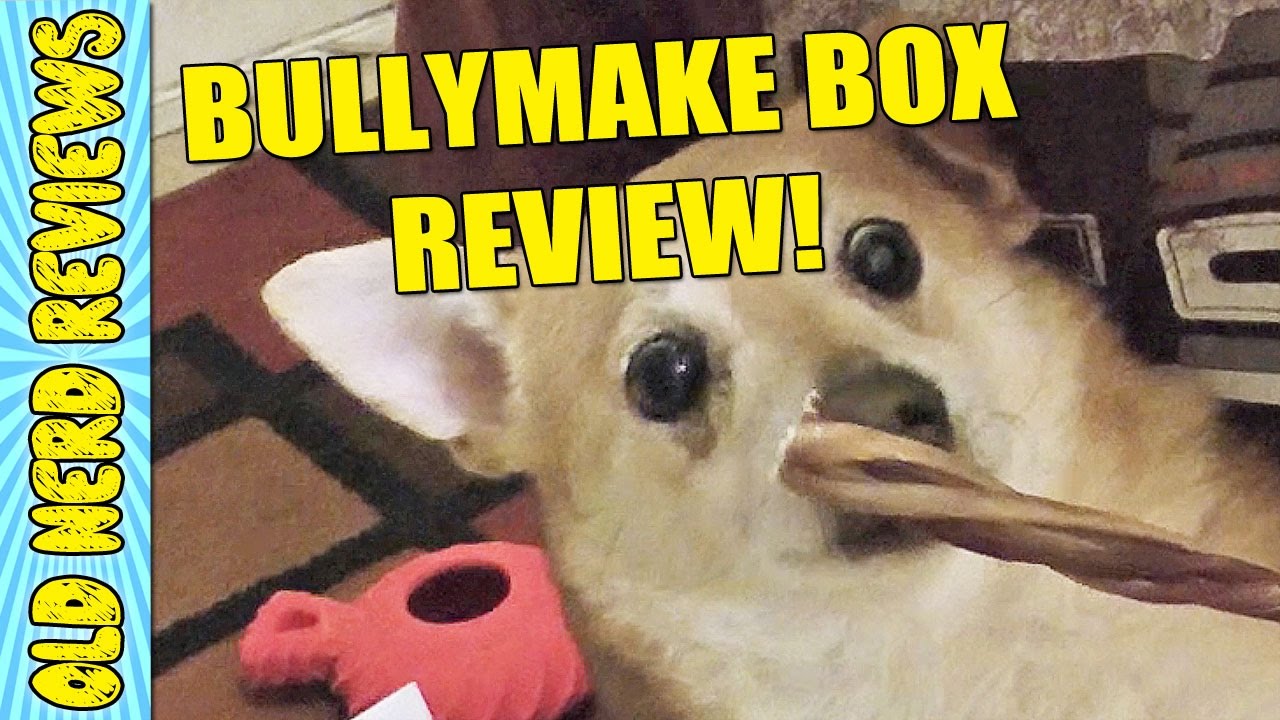 DOG REVIEWS CHEW TOYS & SNACKS! Bullymake Box UNBOXING 🐶 YouTube