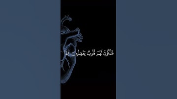 ♡قرآن كريم سورة الحج♡القارئ ياسر الدوسري♡