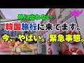 【韓国旅行】⚠️今から韓国に行く人へ🚨韓国旅行　vlog 謎のトラブル発生中。ソウルの友人と遊ぶ1日。他人と宿泊中😂のアラ40女子がオススメ紹介❤️❤️カフェのトイレって利用できるの❓