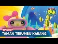 Cerita-Cerita Didi & Friends Mengembara Bersama | Taman Terumbu Karang