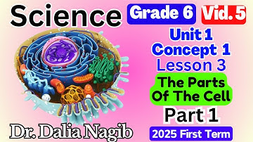 ساينس سادسة ابتدائي ترم اول 2025  Science Grade 6 The Parts Of The Cell  Concept 1 Lesson 3 P #1