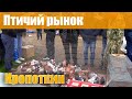 Птичий рынок. Кропоткин. Часть 5. [26.09.2021]