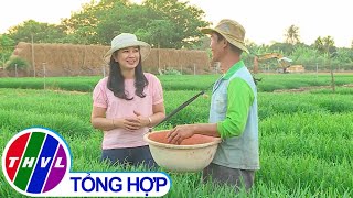 Nhịp sống đồng bằng: Nghề trồng hẹ ở Rạch Hẹ