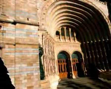 Structure from Motion with uncalibrated image sequences