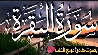 سورة البقرة كامله || المصحف المرتل || صوت هادئ مريح القلب 