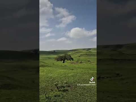 ٢٦ أكتوبر ٢٠٢٥