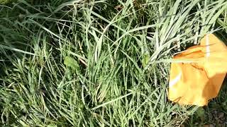 First successful sugar rocket test with parachute
