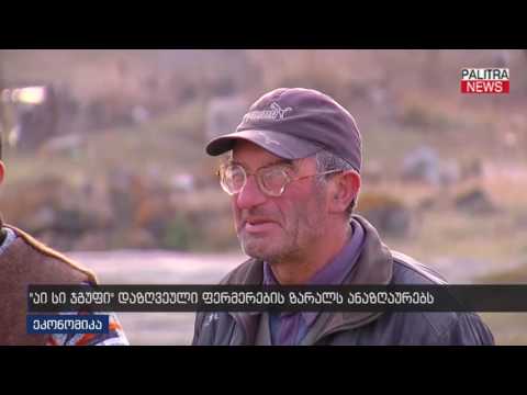 \u0026#039;\u0026#039;აი სი ჯგუფი\u0026#039;\u0026#039; დაზღვეული ფერმერების ზარალს ანაზღაურებს